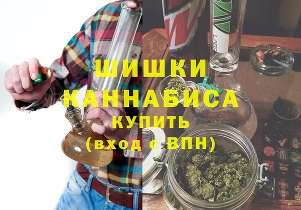 молекула духа Магадан