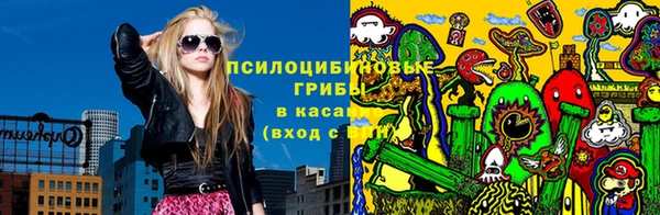 молекула духа Магадан