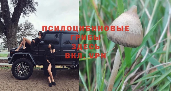 молекула духа Магадан