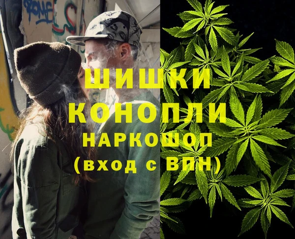 мяу мяу мука Магас