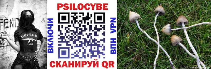 OMG как зайти  Ялуторовск  Галлюциногенные грибы мухоморы 