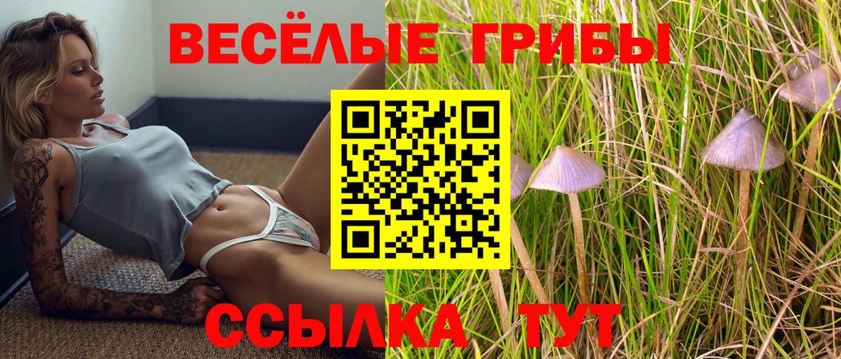 Галлюциногенные грибы MAGIC MUSHROOMS  Галлюциногенные грибы прущие грибы  Вход с VPN  Ялуторовск 